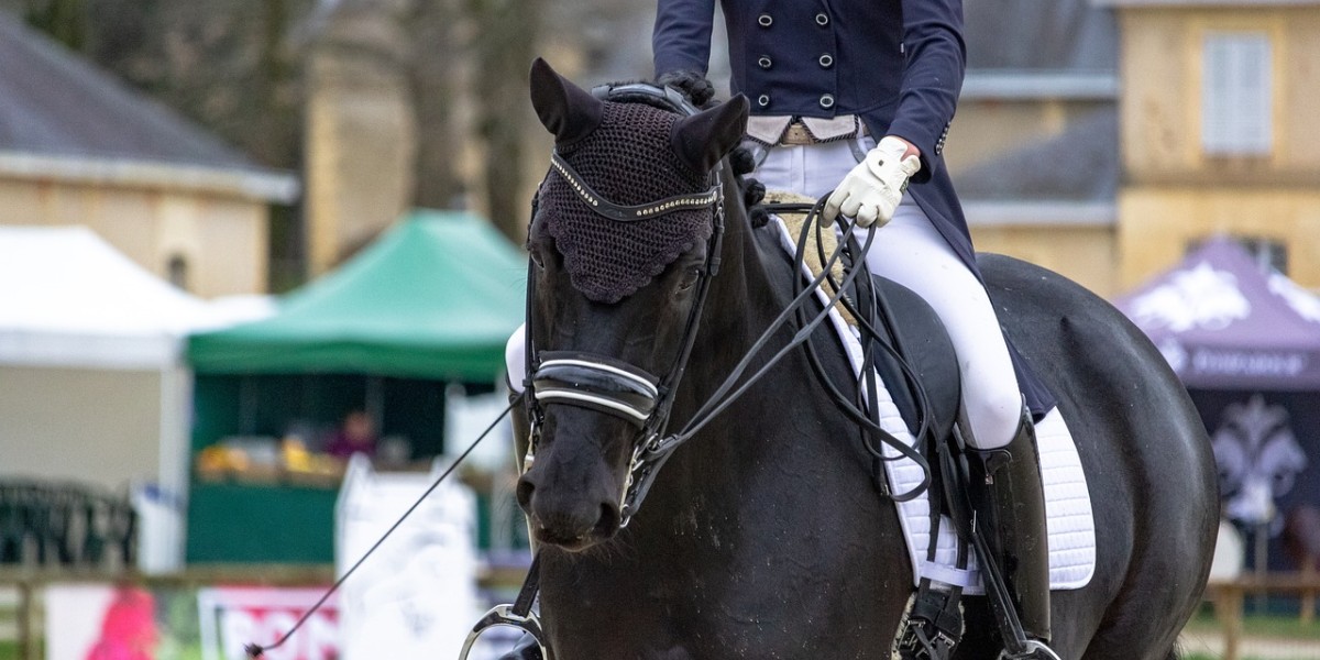 Challenge de dressage